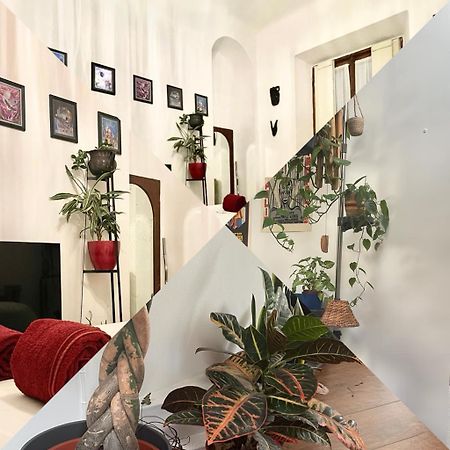 Appartamento La Stanza Della Giungla Milano Esterno foto